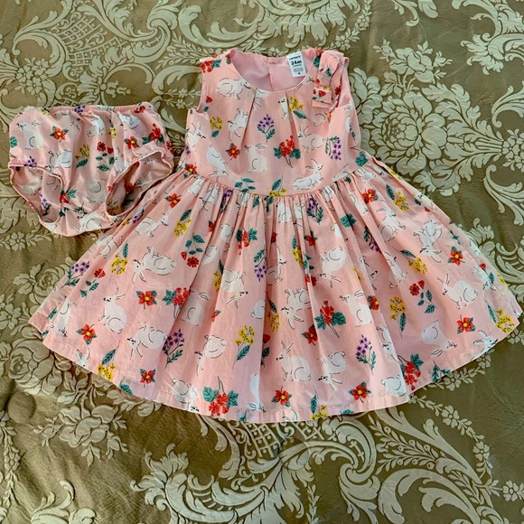 Like new Carter’s Dress - Picture 1 of 5